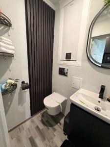 a bathroom with a toilet and a sink and a mirror at Elma Nest in Drobeta-Turnu Severin