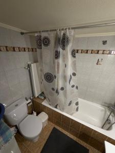 a bathroom with a toilet and a shower curtain at Blue Horizon Makri in Alexandroupoli +8 photos