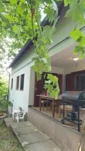 a house with a picnic table in front of it at Winterberg Vendégház in Óbánya