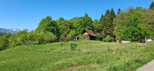 a grassy field with a wooden cabin on a hill at Sweet Home in Tolmezzo