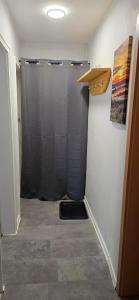 a garage with a gray shower door in a room at Meyers FeWo - Hüddingen in Reinhardshausen