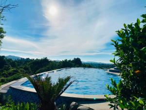 a swimming pool in the middle of a forest at Bavieco Resort in Yên Bài