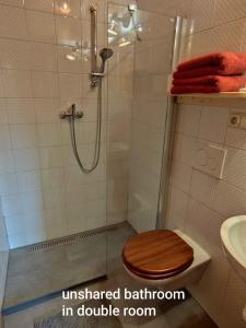a bathroom with a shower with a toilet and a sink at Roubenka Skalnička in Adršpach +24 photos