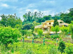 a house on top of a hill with trees at Bavieco Resort in Yên Bài