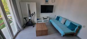 a living room with a blue couch and a tv at Hrstich Apartments in Drasnice