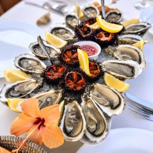 a plate of oysters on a table with lemon slices at Appartement Les Vagues Vue sur Mer pour familles in Oualidia