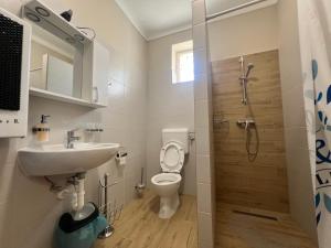 a bathroom with a toilet and a sink and a shower at Kereki Retro Vendégház in Kerekegyháza +31 photos