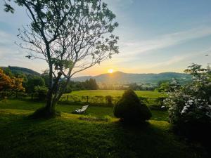 a bench in a field with a tree and the sunset at Chalet - Kleines Paradies - in Appenzell