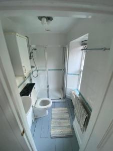 a bathroom with a toilet and a sink at Strand Retreat in Tintagel