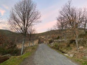 a dirt road with trees on the side of a hill at El Pajar de Tío Mariano in Tremedal