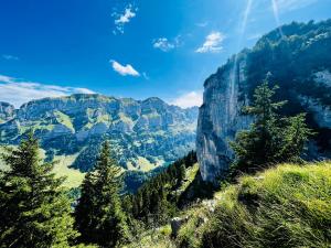 a view of a canyon with trees and mountains at Chalet - Kleines Paradies - in Appenzell