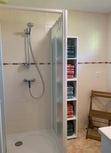 a shower with a glass door in a bathroom at Péniche GEMJO & Maison d'Ecluse No17 - Chambres d'hôtes insolites au fil du canal in Castelsarrasin +30 photos