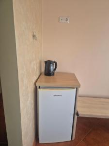a tea kettle sitting on top of a small refrigerator at Gintolina in Kazlų Rūda