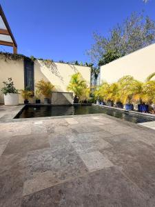 a courtyard with palm trees and a building at Ô Pationato in Saint-Louis