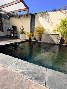 a swimming pool in front of a house with plants at Ô Pationato in Saint-Louis