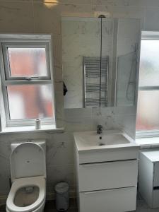 a bathroom with a toilet and a sink and a mirror at Montagu Street in Kettering