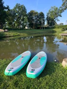two surfboards sitting on the grass next to a lake at Arimaičių kaimo sodyba in Arimaičiai +30 photos