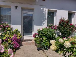 a bunch of flowers in front of a house at Virágos Lakás in Győr +2 photos