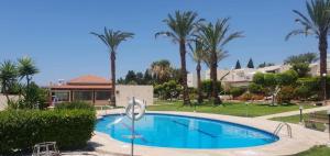 a swimming pool in a yard with palm trees at Horizon Bliss at Coral Bay in Peyia