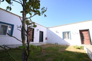 a dog in a yard next to a white building at Rijeka Pansiyon in Ayvalık