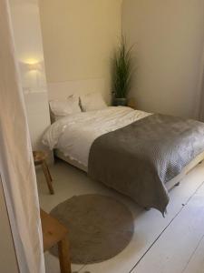 a bedroom with a bed and a potted plant at The Beach House in Schellinkhout