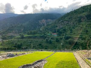 a field of grass with mountains in the background at Lavender Resort Naran in Naran +7 photos