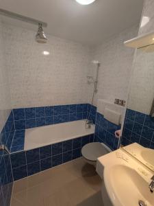 a blue tiled bathroom with a toilet and a sink at Hotel Rêve de la Vallée in Blesle