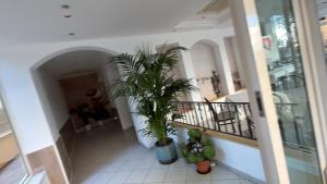 a hallway with two potted plants in a building at Hotel Merano in Misano Adriatico +9 photos