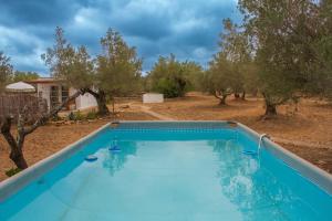 an empty swimming pool in a field with trees at Can Mimosa Guesthouse in Tortosa