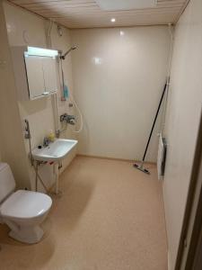 a bathroom with a toilet and a sink at LibO-apartment Porokylä 14 in Porokylä