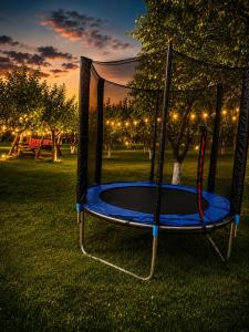 a blue trampoline in a park at night at Yan Guest House in Gyumri