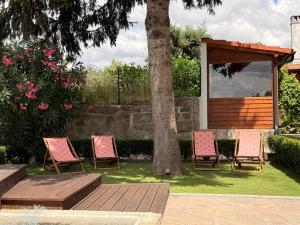 a group of chairs in a yard with a tree at Casa Videira in Gouveia