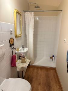 a bathroom with a toilet and a shower and a sink at Location Vacances à Laudun in Laudun