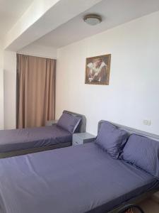 a room with two beds and a picture on the wall at Alira Rooms in Pogradec