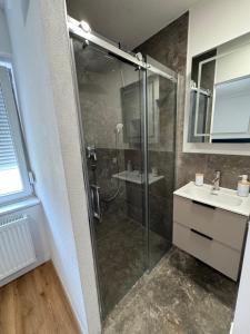 a bathroom with a shower and a sink at Bodenseeapartments in Friedrichshafen +21 photos