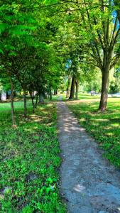 a path in a park with trees and grass at Domki nad jeziorem in Łasin