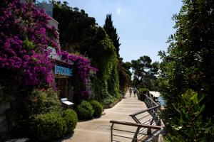 a walkway through a garden with purple flowers at Hotel More in Dubrovnik +68 photos