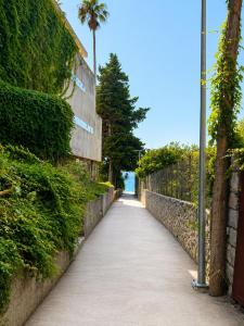 a sidewalk next to the ocean with a palm tree at Cozy house Luana in Lopud