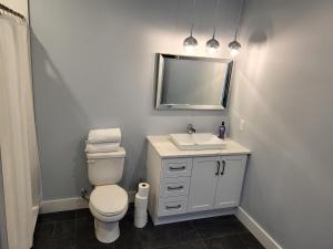 a bathroom with a toilet and a sink and a mirror at Quarto Gananoque #1 in Gananoque +30 photos