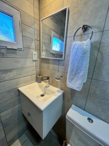 a bathroom with a sink and a mirror and a toilet at Deptosxdia in Perito Moreno +54 photos