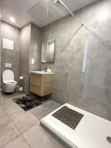 a bathroom with a shower and a toilet and a sink at Trois Merlettes in Schiltigheim