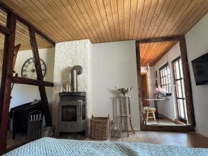 a room with a fireplace and a wood stove at GENUSSZEIT Cottage in Udenhain