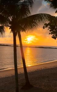 two palm trees on the beach at sunset at Pousada Almar in Itacaré