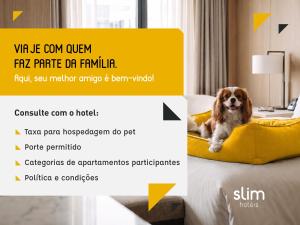 a dog sitting on a bed in a hotel room at Slim Hotel Curitiba Alto da XV in Curitiba