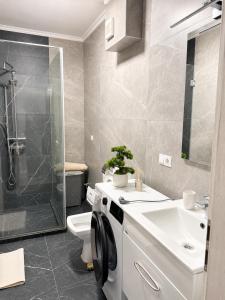 a bathroom with a toilet and a sink and a shower at RTS Residence in Baia Mare