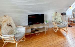 a living room with two chairs and a television at Awesome Home In Haderslev With Wifi in Haderslev