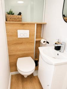 a bathroom with a toilet and a sink at Finnenhaus 8 in Lübeck
