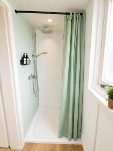a shower with a green shower curtain in a bathroom at Finnenhaus 8 in Lübeck