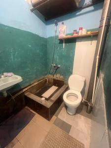 a bathroom with a sink and a toilet and a bath tub at Enjoy Georgian Regions in Tʼetʼri Tsqaro