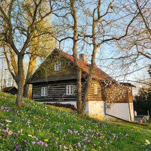 a house sitting on top of a hill with flowers at Roubenka Vendryně in Vendryně +1 photo